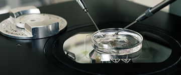 in-vitro-i-naciecie-oslonki-zarodka-assisted-hatching