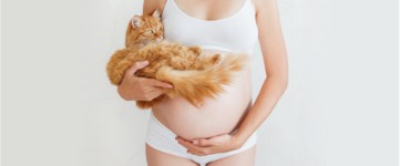 Toksoplazmoza w ciąży – jakie niesie ryzyko?